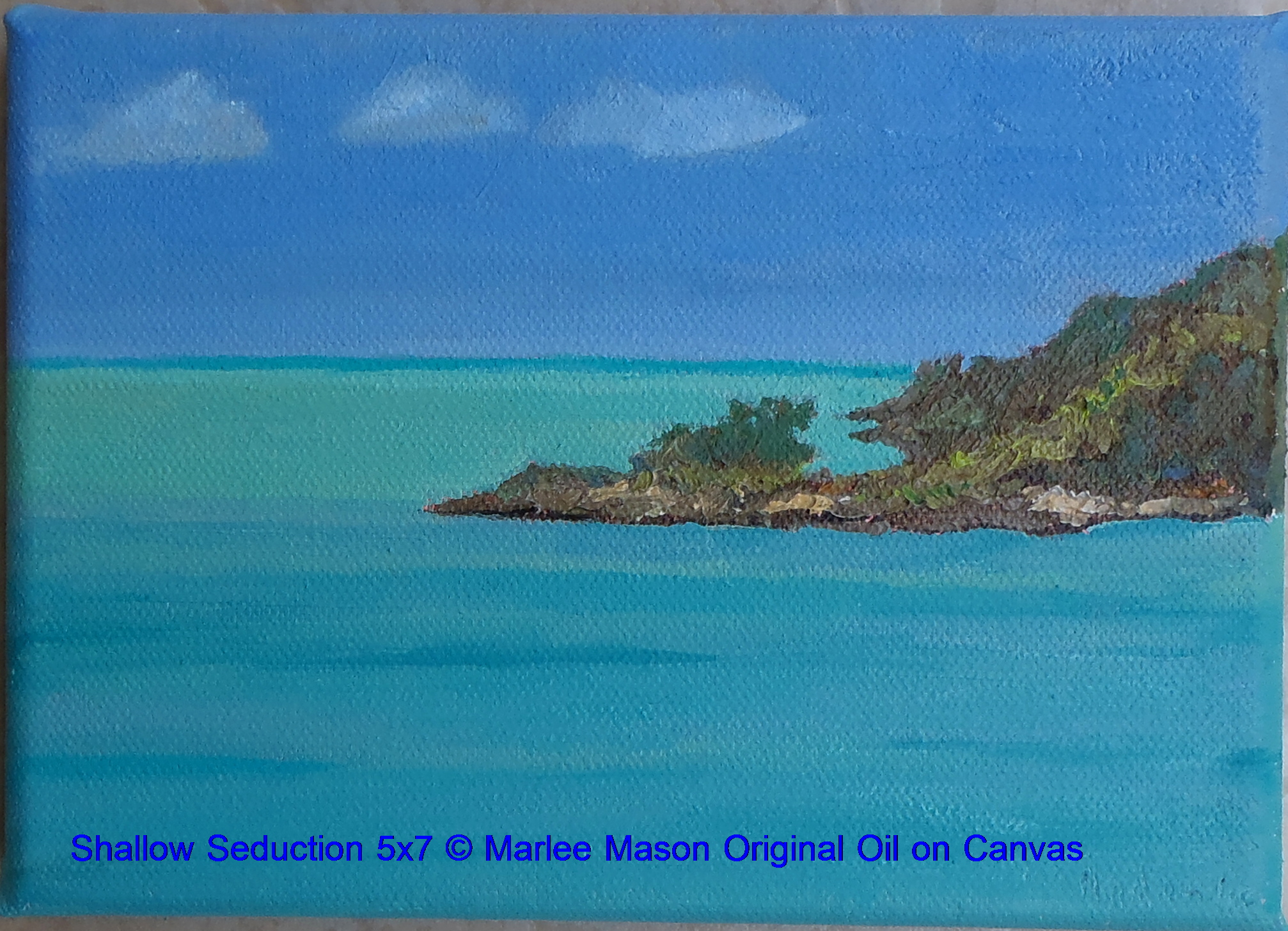 5x7 Original Oil on Canvas  Donated Marji Fundraising raffle